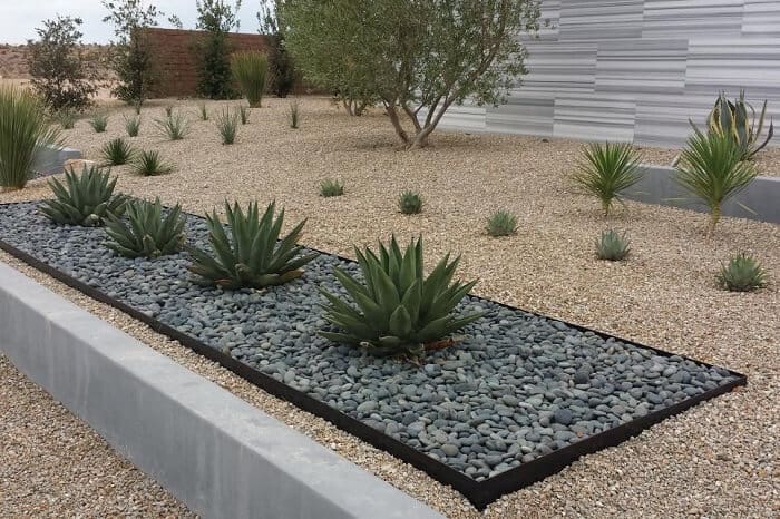 Modern Desert Landscaping
